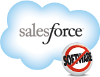 Sales Force Logo